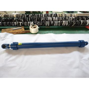 Automatic Gauge Control Servo/AGC Cylinders