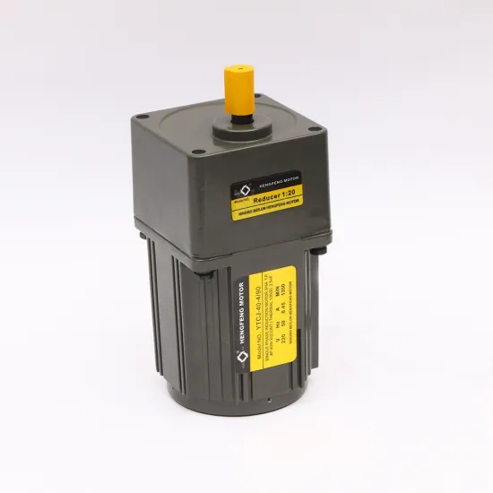 5IK40RGN Single Phase 40W 110V/220V AC Gear Motor