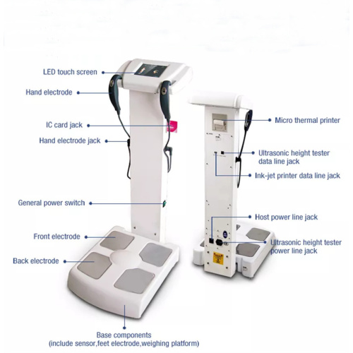 Fat Analyzer human body composition analyze analysor