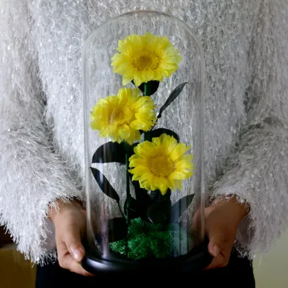 Unique Glass Dome Sunflower - Eternal Blooms Hot Sale