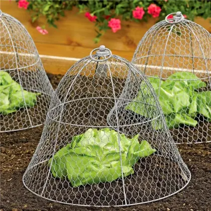 Chicken Wire Mesh: Floral Supplies, Fishing Nets, and Fencing