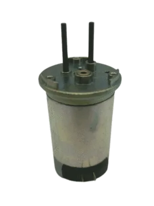 DC Electronic Motor with Blush