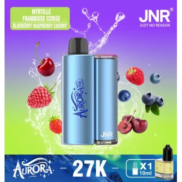 जेएनआर अरोरा 27k पफ्स वेप सर्वोत्तम मूल्य