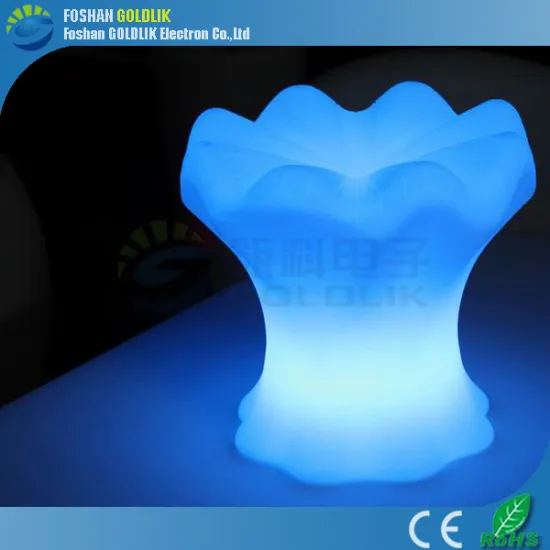 Indoor & Outdoor LED Decoration Lights/Holiday LED Lights