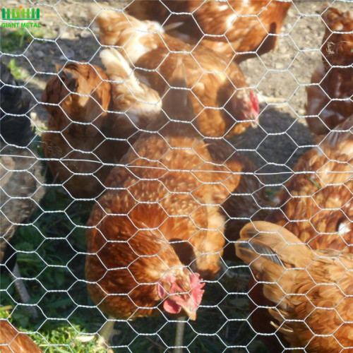 Hexagonal Wire Mesh Chicken Netting