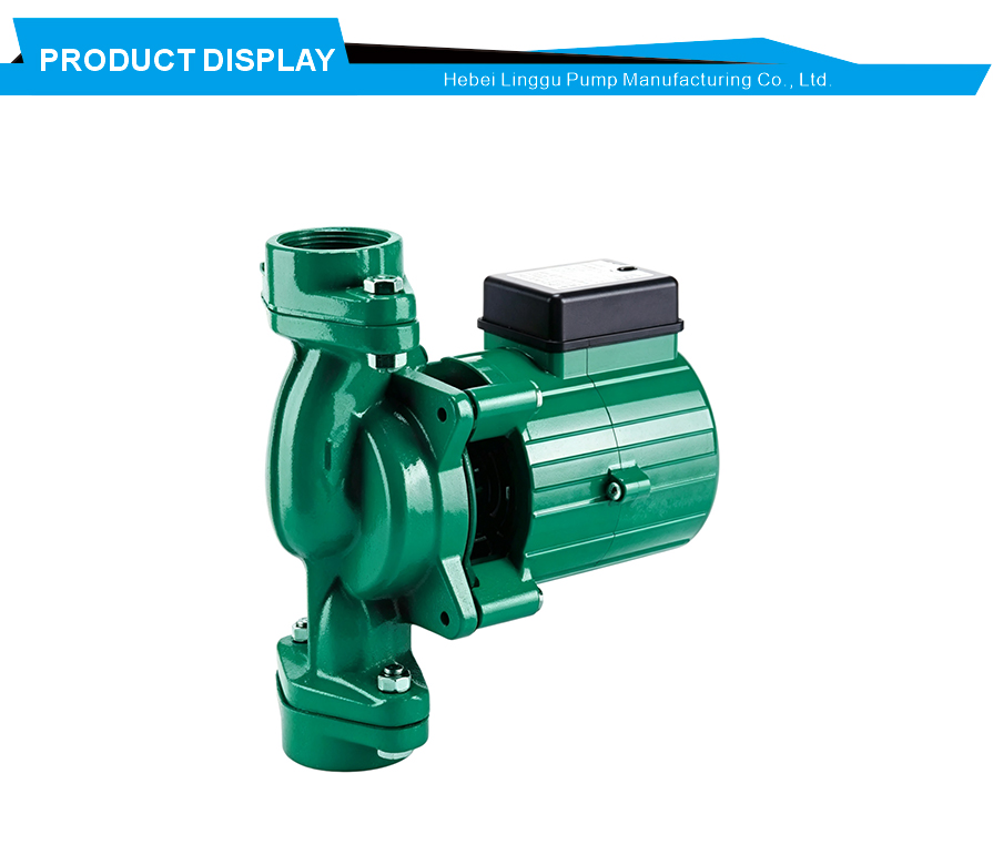 Vertical inline hot water pump
