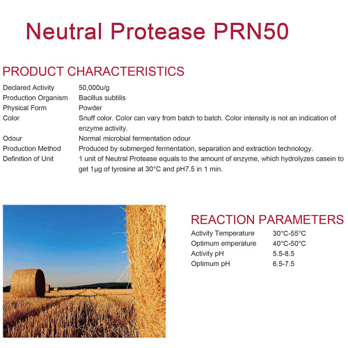 Neutral Protease for alcohol fermentation