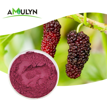 Polvo MulBerry púrpura liofilizado de extracto de fruta