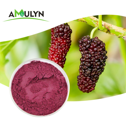 Fruchtextrakt Gefriertrockenes Lila MulBerry Pulver