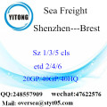 Flete de mar de puerto de Shenzhen que envía a Brest