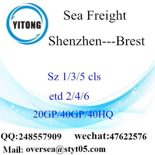 Frete marítimo do porto de Shenzhen que envia a Brest