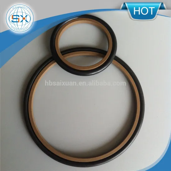 HBTS GSJ step seal, SPGO glyd ring, PTFE piston seal