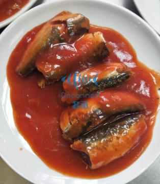 canned sardines in tomato sauce
