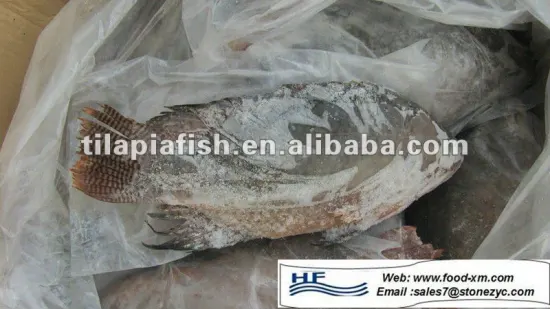 best tilapia frozen fish