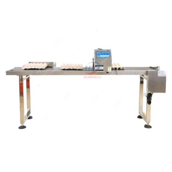 Stainless Steel Automatic Inkjet Printer for Eggs