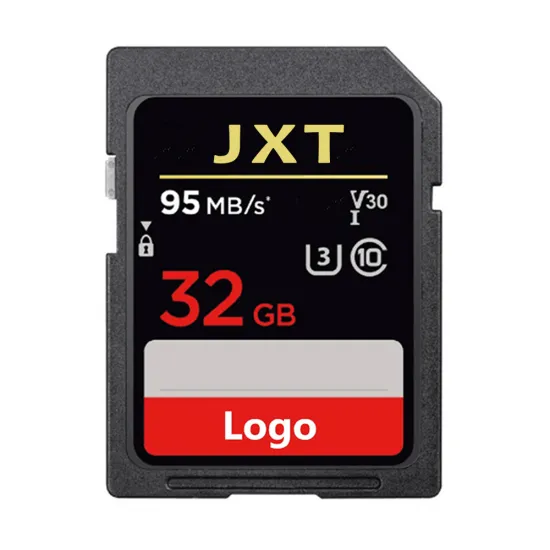 High-Speed C10 Big Size SD Memory Card for High-Capacity Sports Cameras