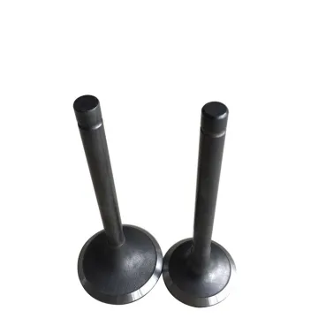 Gasoline engine valve for Toyota