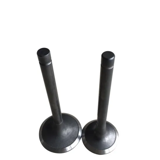 Gasoline engine valve for Toyota