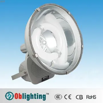 IP65 Magnetic induction flood light 300w