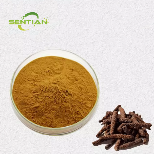 Npiper longum extract powder
