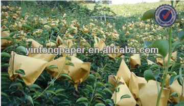 Water Proof Pear Protection Paper bag