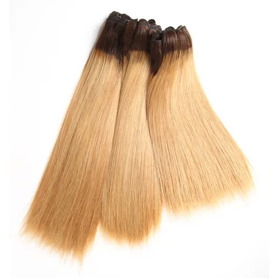 T1B/27 Ombre Color Double Drawn Cuticle Aligned Raw  Virgin Brazilian Hair Styles