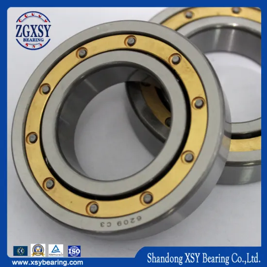 Professional Cylindrical Roller Bearing (SKF, NSK, TIMKEN, KOYO, NACHI, NTN)
