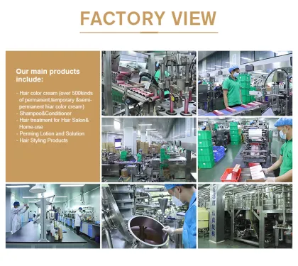 Professional Charcoal Bleach Powder - Dust Free Hair Dye Bleach for Salons