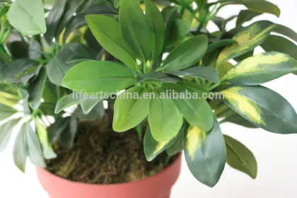 70cm desert rose tree, bonsai tree , plastic tree, fake tree