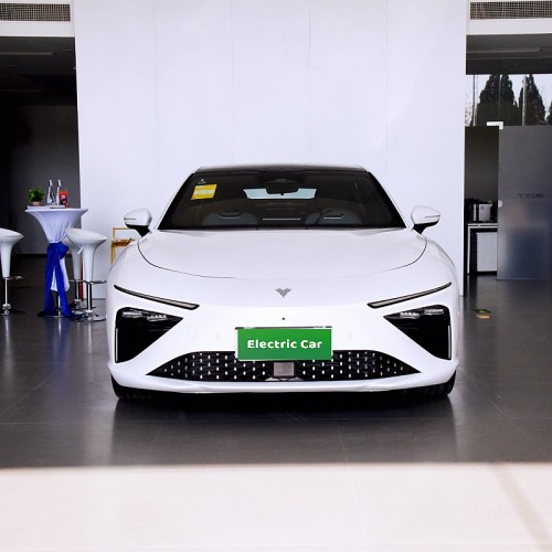 Medium to large electric vehicle neta s