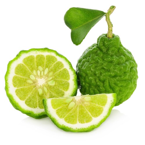 Plant Extract Bergamot Extract