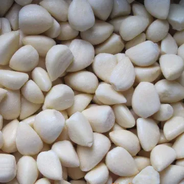 Fresh Single Bulb Garlic