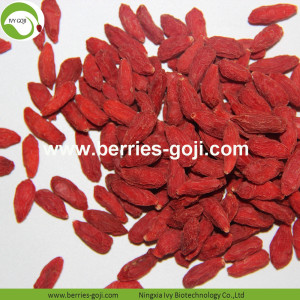 Fabriksförsörjning Hälsosam Ny Harvest Fruit Products Goji