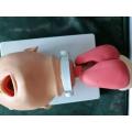 Child Endotracheal Intubation Model