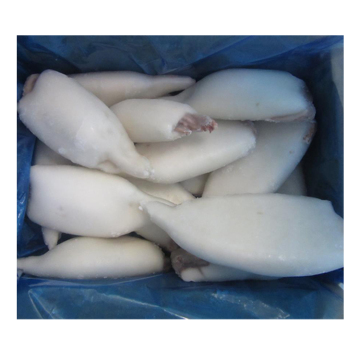 Hot selling cleaned baby whole cleaned squid cheap price whole cleaned squid skinless