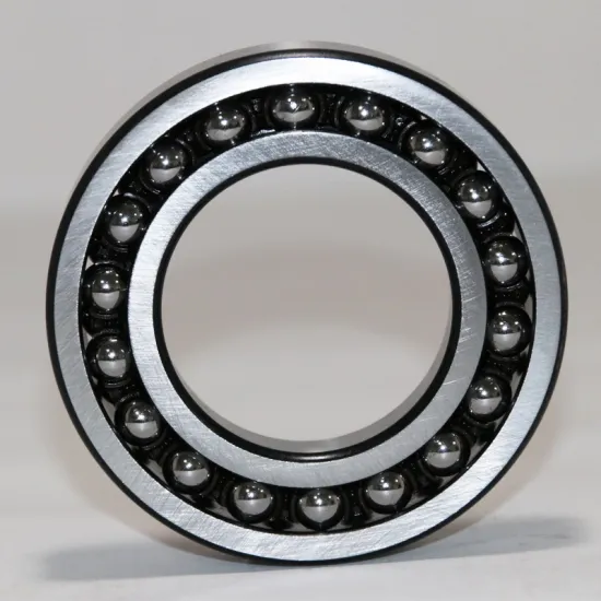 High Quality Self-Aligning Double Row Ball Bearings for Restaurant Industry (1216/1217/1218/1219/1220EK ATN C3)