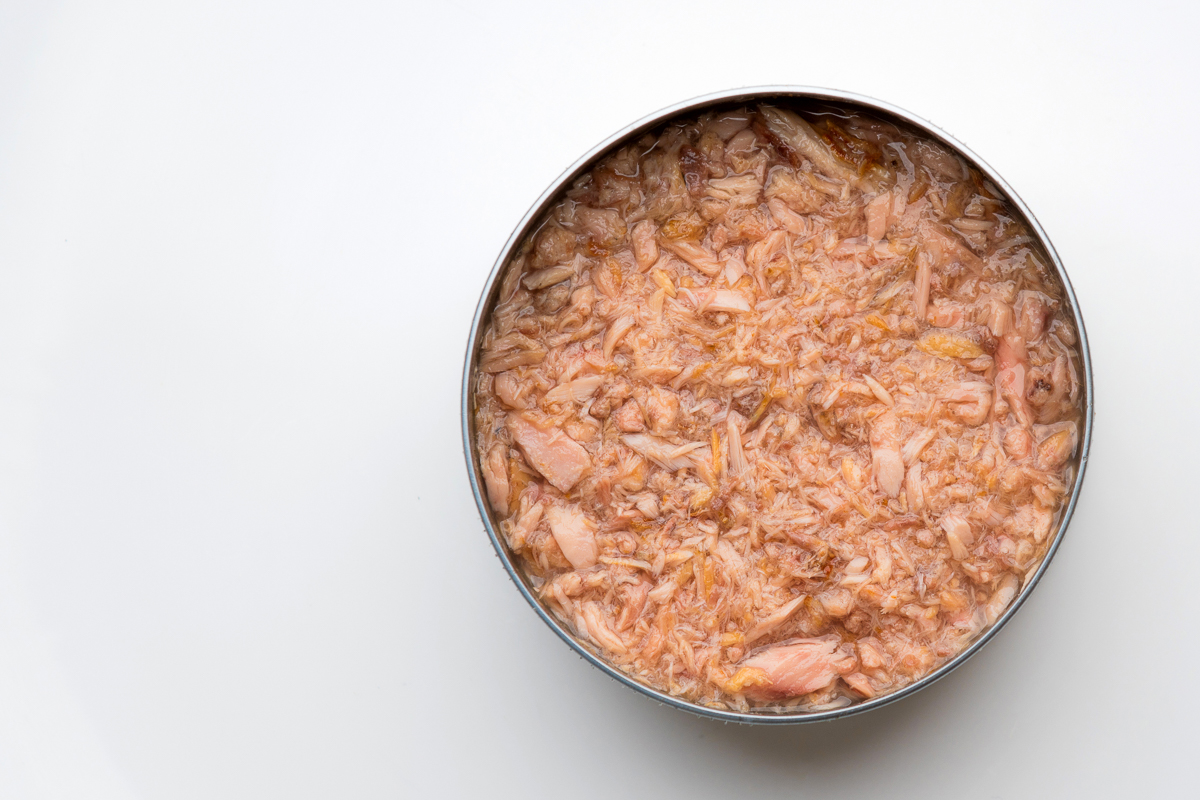 Wholesale Best Canned Tuna