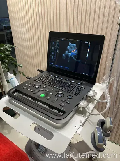 Portable 4D Ultrasound Machine for Veterinary Use