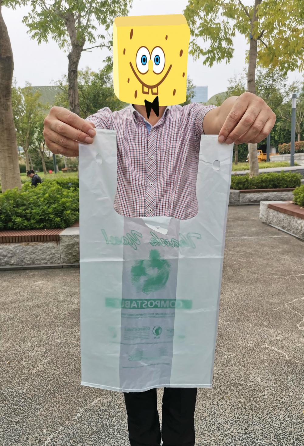 Environmentally Friendly Carrier Bag