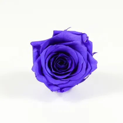 Kunming Freeze Dried Roses 4-5cm Flower Heads