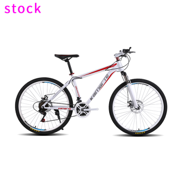 Mountain bike e biciclette: attrezzatura, accessori e stili