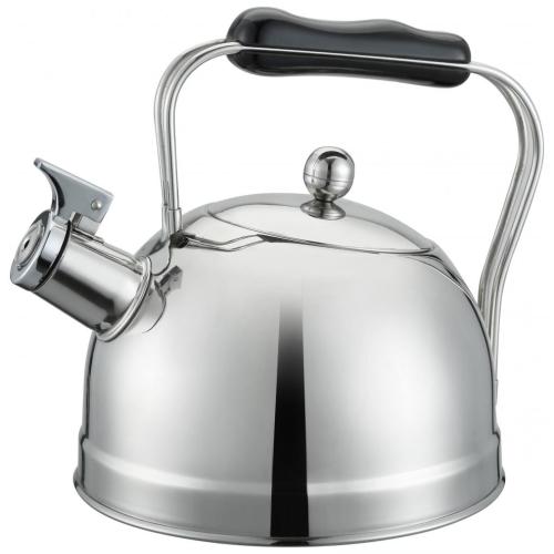 Ellipsoid Bell Sound Whistling Kettle for Home