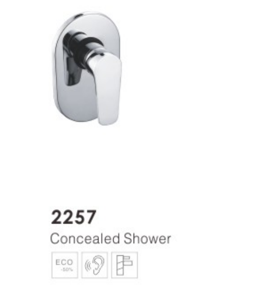 Bathroom Concealed Shower 2257