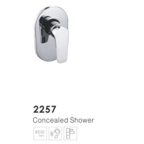 Bathroom Concealed Shower 2257