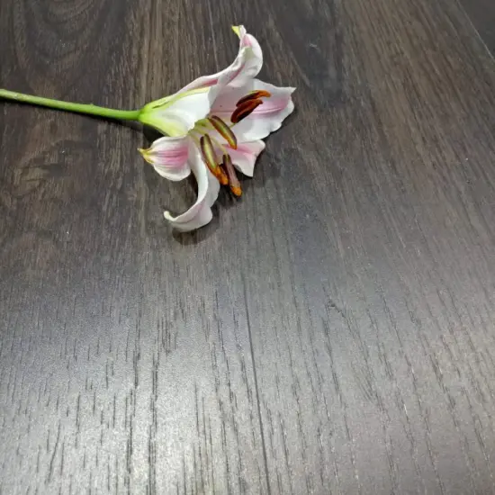 Embossed wood color SPC laminate flooring