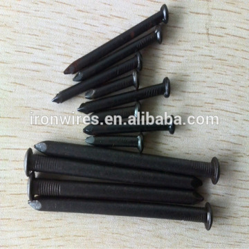 flat shank black steel nail for Dubai market