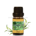 Pure And Natural Eucalyptus Essential Oil In Bulk