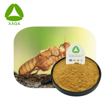 Cicada lột xác chiết xuất bột chiết xuất động vật