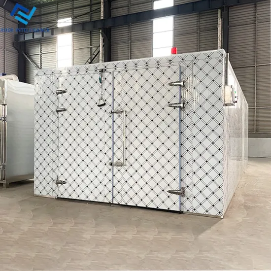 High Cost-Effectiveness Fruit Dehydrator Machine: Industrial Drying Oven & Heat Pump Dryer