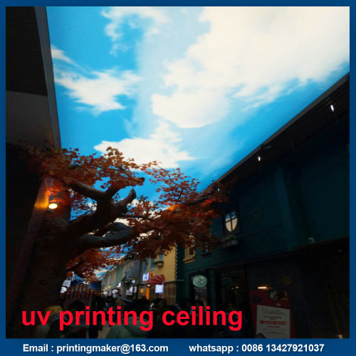 Teto com Custom Sky Graphic UV Printing Service